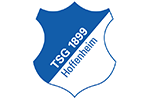 TSG Team Logo